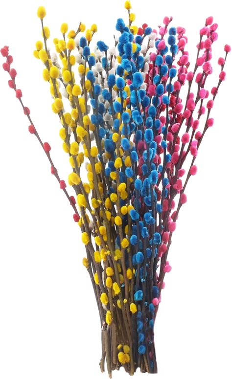 Amazon Lanmik Stems Inches Real Natural Dried Pussy Willow Branches For Vases