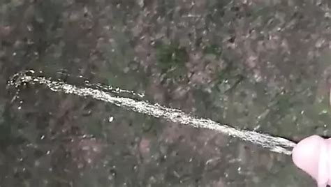 The Teddybear Gay Porn Creator Videos Nudes Live Cam Chat XHamster