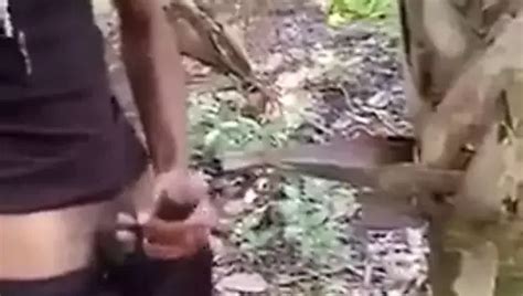 Coco Free Solo Man Porn Video Ea XHamster