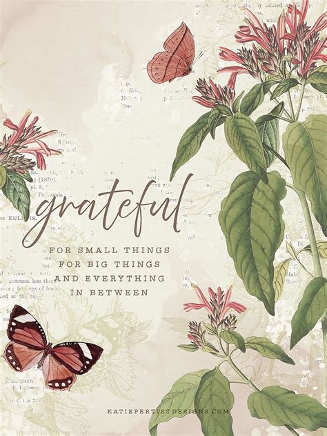 30 Days of Gratitude : Day 12 | Katie Pertiet | Gratitude day, Flower ...