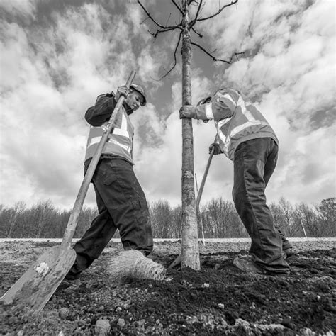 Groenfra Werkt Efficiënter Bij Het Vervangen Van Bomen Werktools App