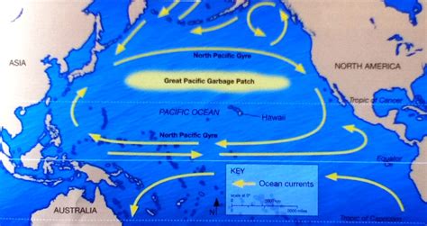 Where Is The Great Pacific Garbage Patch Map