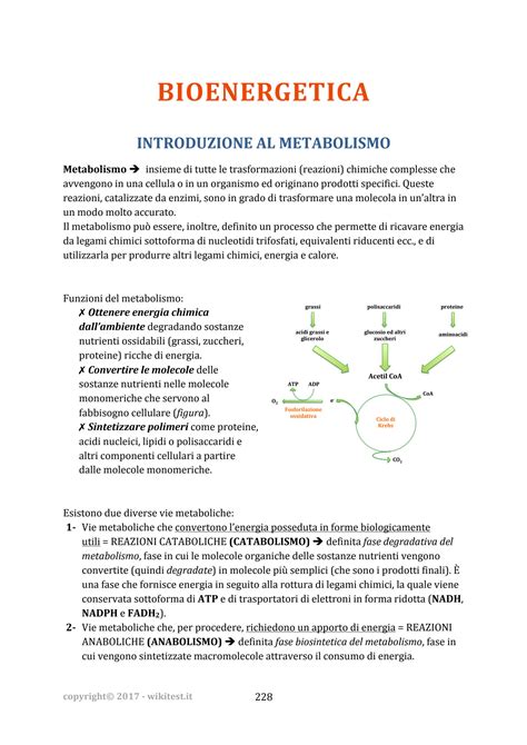 Solution Bioenergetica Dispensa Metabolismo Studypool