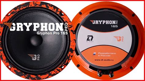 DL Audio Gryphon pro 165, распаковка, обзор, прослушка — DL Audio