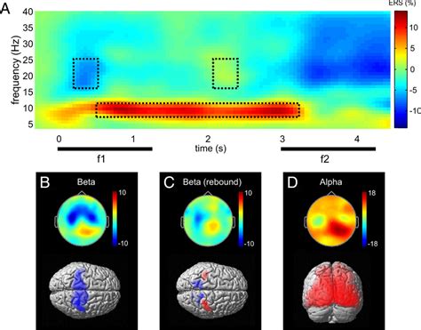 overview  induced responses observed   task  grand