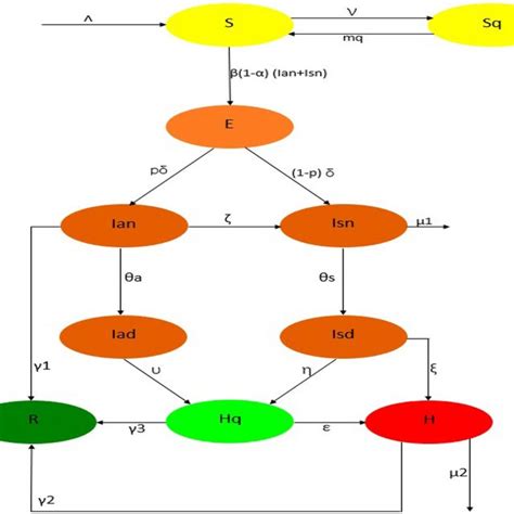 Schematic diagram of the epidemic model | Download Scientific Diagram