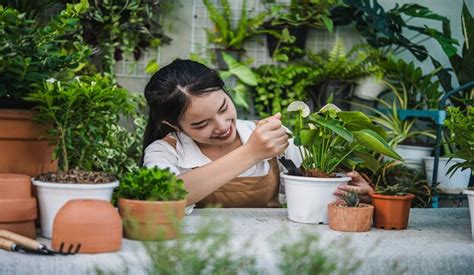 Revitalize Your Garden Creative Ways To Use Garden Pots