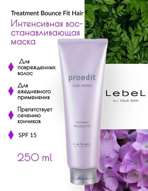 LEBEL PROEDIT HAIR TREATMENT BOUNCE FIT Маска для волос ...