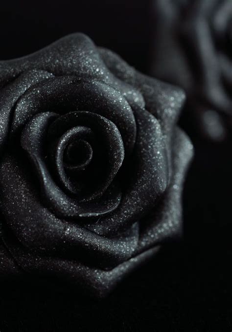 26 Black Rose iPhone Wallpapers - Wallpaperboat