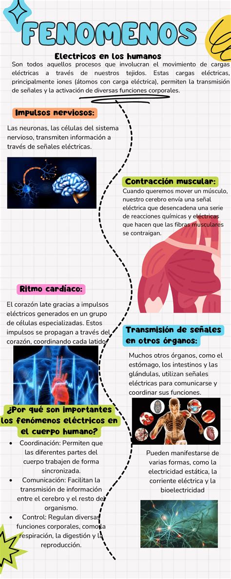 Qué Son Los Fenómenos Sociales 10