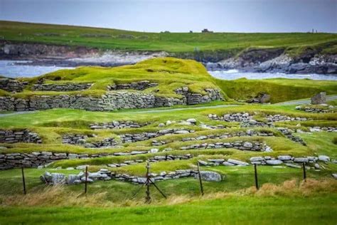 Discovering Shetland's Wildlife: A Visitor's Guide - Nature Roamer