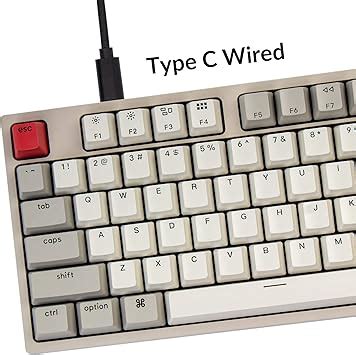 Keychron C Hot Swappable Wired Mechanical Keyboard For Mac Users Keyboard Outlet