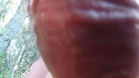 Outdoor Bj In The Cruising Woods Gay Amateur Porn XHamster