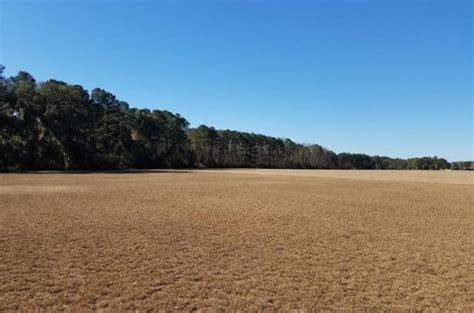 Pristine Irrigated Farm Land In Georgia Landflip Blog