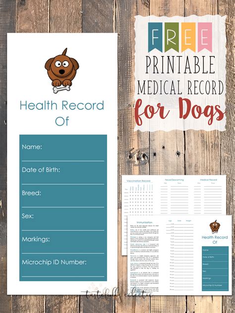 Printable Pet Health Record Template Excel