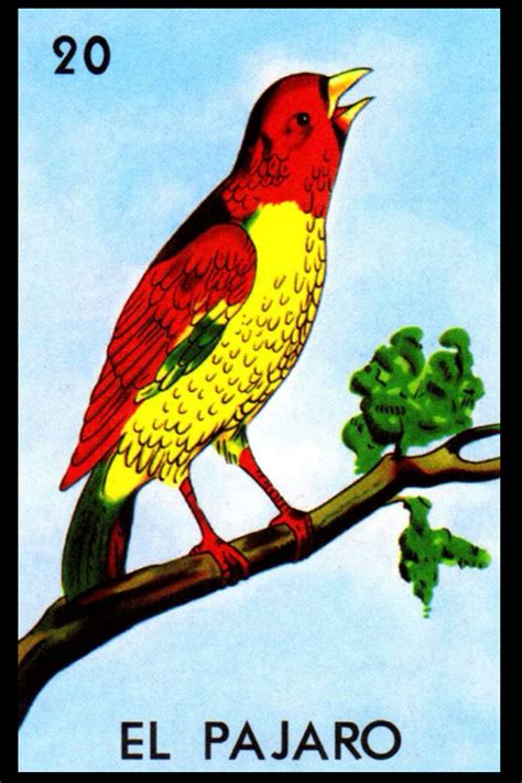 Buy El Pájaro La Lotería Card See Inside All 54 Mexicana Loteria
