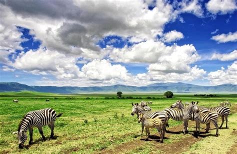 Days Lake Manyara Serengeti Ngorongoro Budget Safari