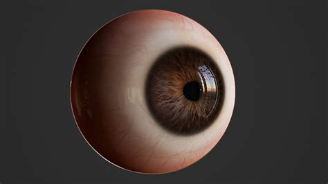 3d Model Realistic Human Eye Vr Ar Low Poly Cgtrader