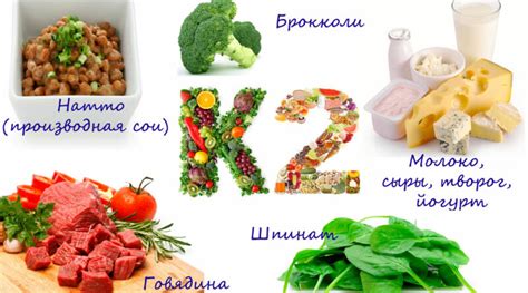 ТОП 6 лучших препаратов, содержащих витамин К2: состав, показания ...