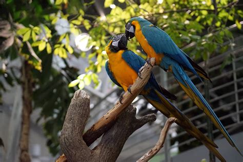 Best California Academy Of Sciences Posts - Reddit