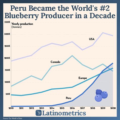 Perú Camino A Ser El Mayor Productor Mundial De Arándanos Así Empezó El Auge Del ‘oro Azul