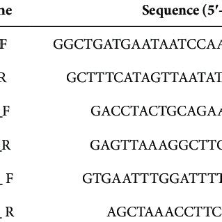 Primers used for screening of agr1, agr2R and agr2M | Download ...