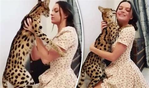 Brunette Babe Hugs African Serval Wild Cat In Viral Video Travel News Travel Express Co Uk