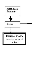 Mechanical Pathways Flashcards | Quizlet