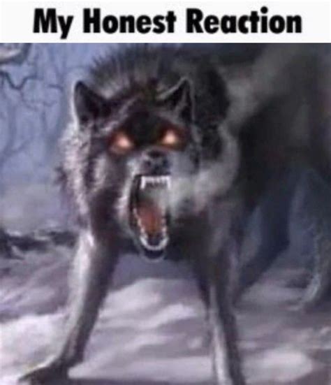 Pin By 𝐸𝓁𝓁𝒾𝑜𝓉𝓉 ☁ On Misc · Mood Alpha Werewolf Alpha Wolf Wolf Meme