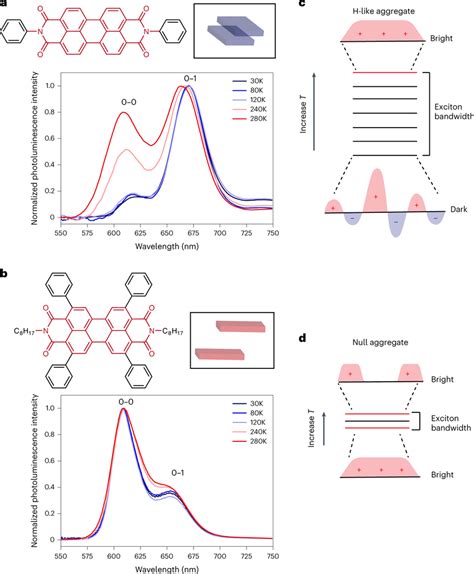 Two Pdi Aggregates With Contrasting Exciton Phase Properties A B