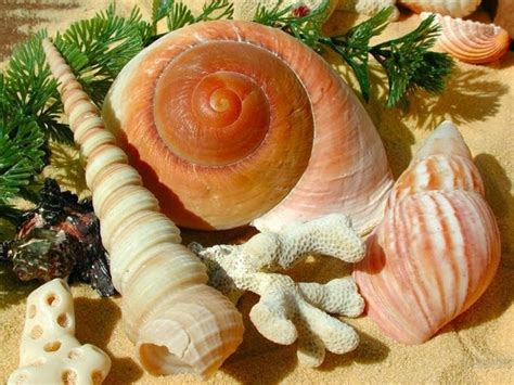 МОЙ МИР: МОРЕ 2