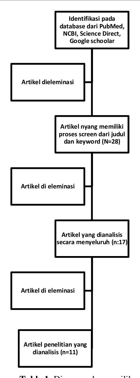 Table From Resistensi Antibiotik Terhadap Bakteri Salmonella Typhi