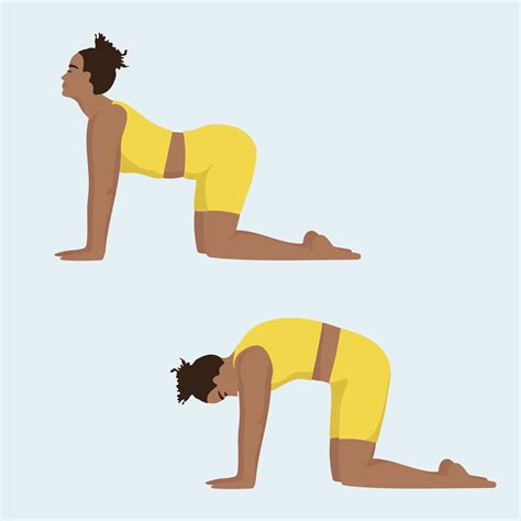 Lower Back Stretches Yoga