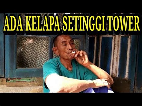 Wawan Cara Bandar Kelapa Ditengah Co Rona Youtube