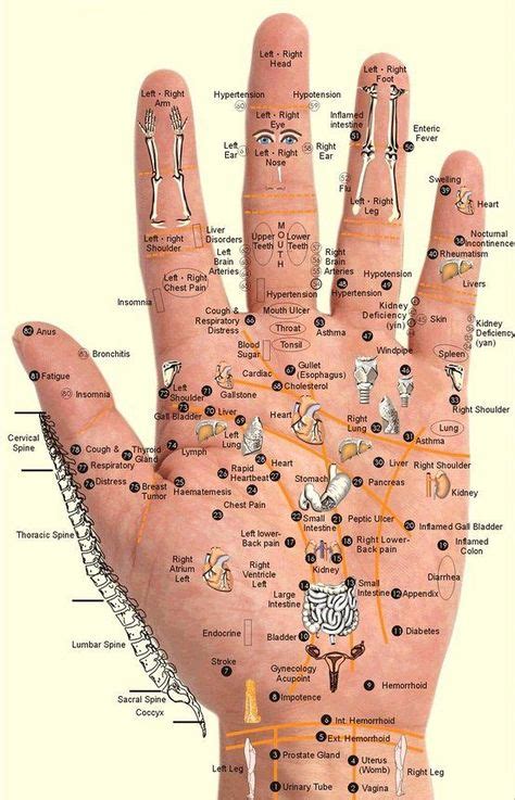 Acupressure Points For The Hands Sant Sant Nutrition Et Acupression