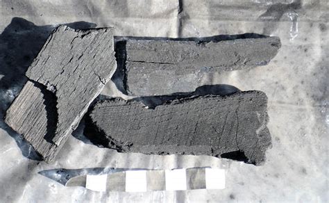 Review Of Royal Oak Lump Charcoal Naked Whiz Ceramic Charcoal Cooking