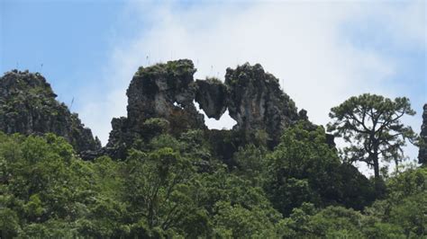 Cerro De La Campana Reserva De La Biosfera El Cielo