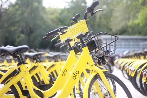 Ofo Office Photos In Bangkok Workventure