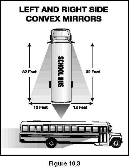 School Bus Dimensions