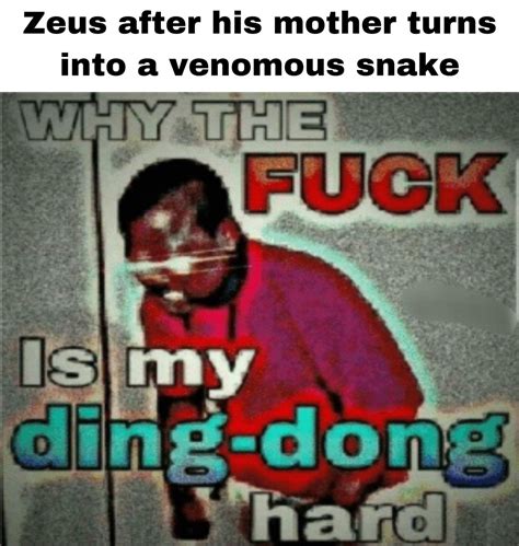 WHY THE FUCK Meme By Biel Br Memedroid