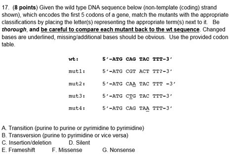 Solved Given The Wild Type DNA Sequence Below Non Template Chegg