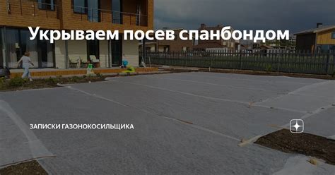 Укрываем посев спанбондом | Записки газонокосильщика | Дзен