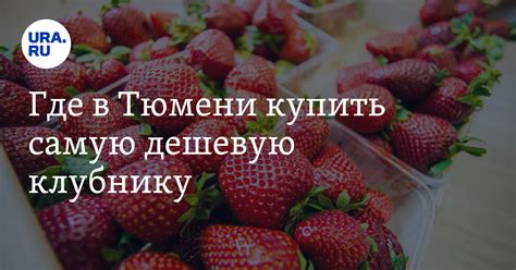Где в Тюмени купить самую дешевую клубнику. Инфографика