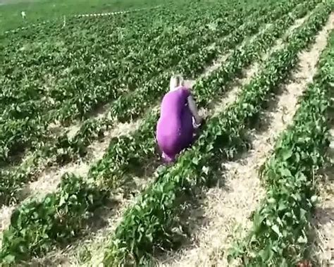 Fucking After Picking Up Strawberries Amateur Porn Feat Blondehexe By FapHouse XHamster
