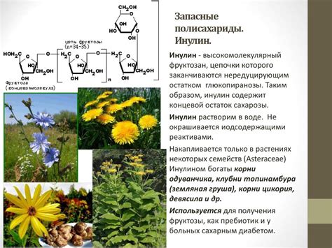 Лекарственные растения и лекарственное растительное сырье, содержащие ...