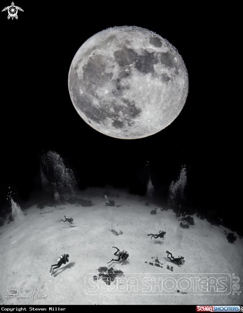 Underwater Photography Night Dive On The Full Moon Moon Underwater