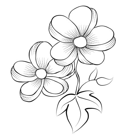 Premium Vector Free Vector Line Art And Hand Drawing Flower Art Black