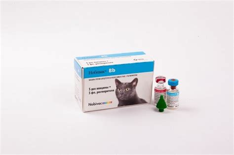 Нобивак для кошек и котов: инструкция, цена вакцины, отзывы