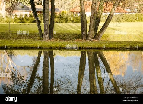 autumn pond with reflection of trees Stock Photo - Alamy