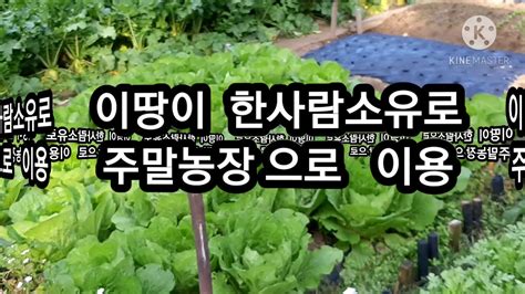 주말농장 아파트 인근 산자락 텃밭가꾸기 Youtube